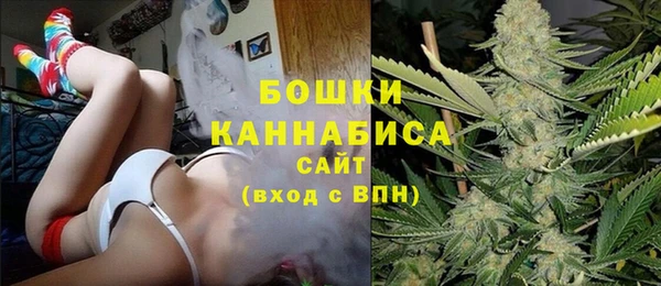 молекула духа Волоколамск