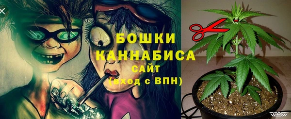 дживик Волосово